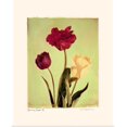 thumbnail image 1 of Great BIG Canvas | "Spring Color IV" Art Print - 16x20, 1 of 4