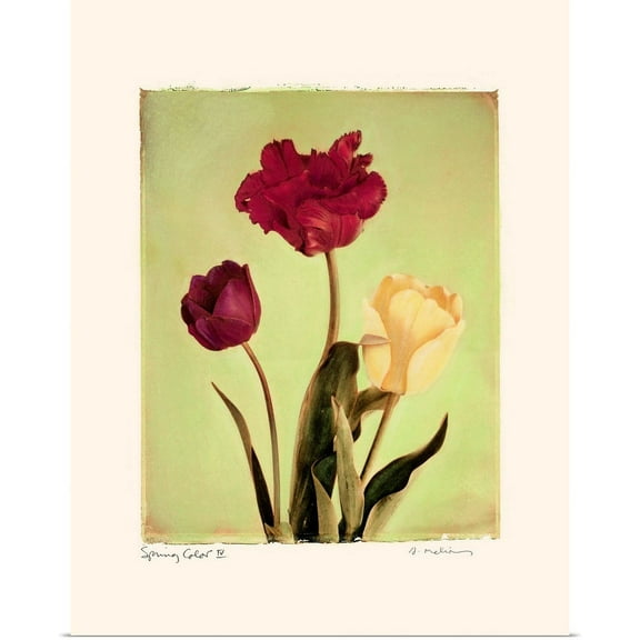 Great BIG Canvas | "Spring Color IV" Art Print - 16x20