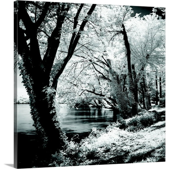 Great BIG Canvas | "Spring on the River Square II" Canvas Wall Art - 20x20