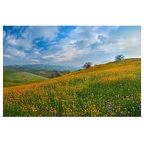 Great BIG Canvas | "Sprung I" Art Print - 24x16