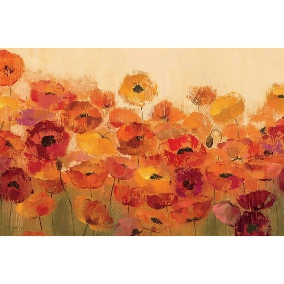 Great BIG Canvas | "Summer Poppies" Black Framed Print - 24x16