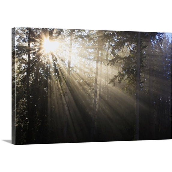 Great BIG Canvas | "Sun Shining Through Morning Fog And Trees; Happy Valley, Oregon, USA" Canvas Wall Art - 30x20