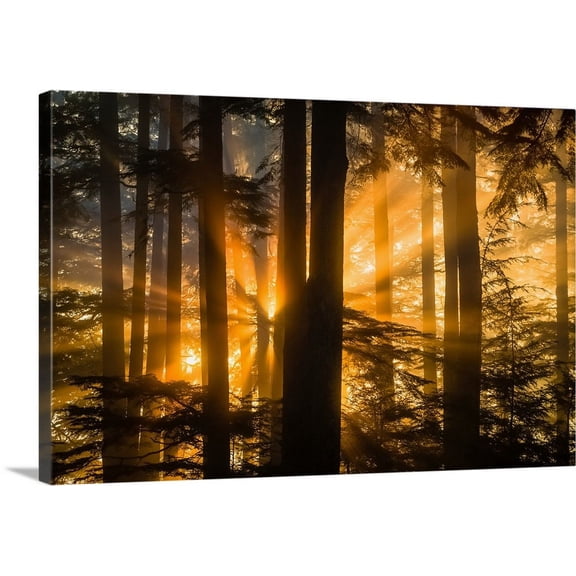 Great BIG Canvas | "Sunrays peak through fog and the trees of the Tongass National Forest, Juneau Alaska" Canvas Wall Art - 24x16