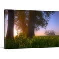 thumbnail image 1 of Great BIG Canvas | "Sunrise Streaming Through Foggy Trees In Summer, Central Alberta, Canada" Canvas Wall Art - 36x24, 1 of 2