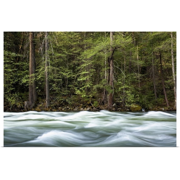 Great BIG Canvas | "Sunrise on the Merced River, Yosemite National Park, California" Art Print - 48x32