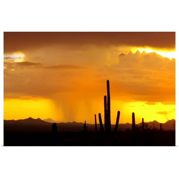 Great BIG Canvas | "Sunset Rain" Art Print - 36x24