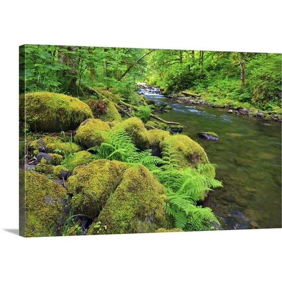 Great BIG Canvas | "Tanner Creek In Columbia River Gorge National Scenic Area; Oregon, USA" Canvas Wall Art - 36x24