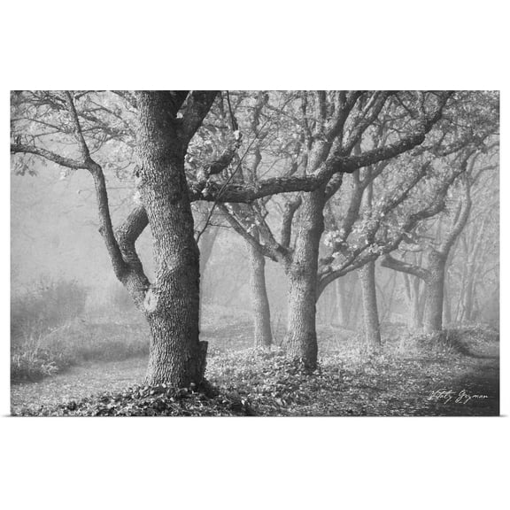 Great BIG Canvas | "Tree in the Mist B" Art Print - 24x16