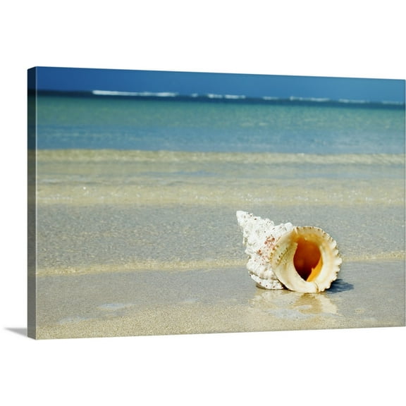 Great BIG Canvas | "Tropical Seashell On The Beach With Gorgeous Clear Blue Ocean Behind" Canvas Wall Art - 36x24