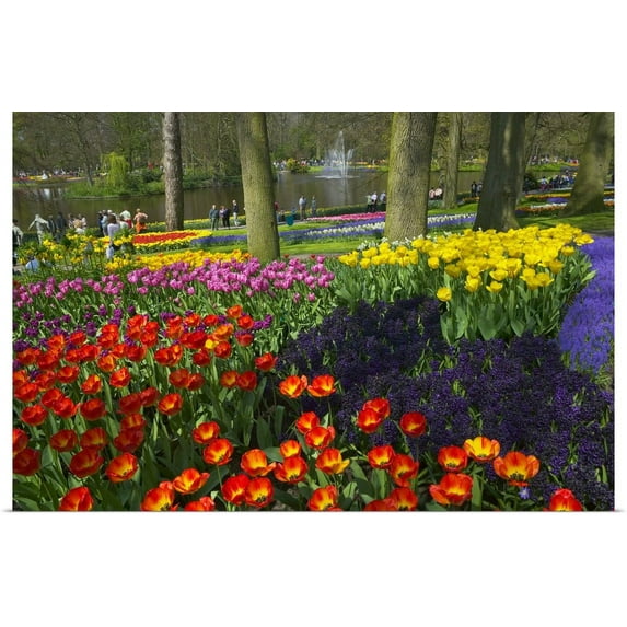 Great BIG Canvas | "Tulips in Keukenhof Gardens, Amsterdam, Netherlands" Art Print - 30x20