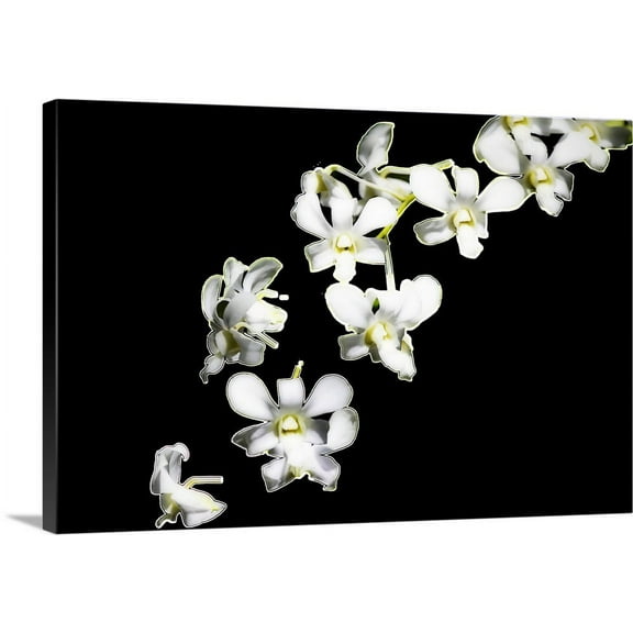 Great BIG Canvas | "Vanda Orchids I" Canvas Wall Art - 24x16