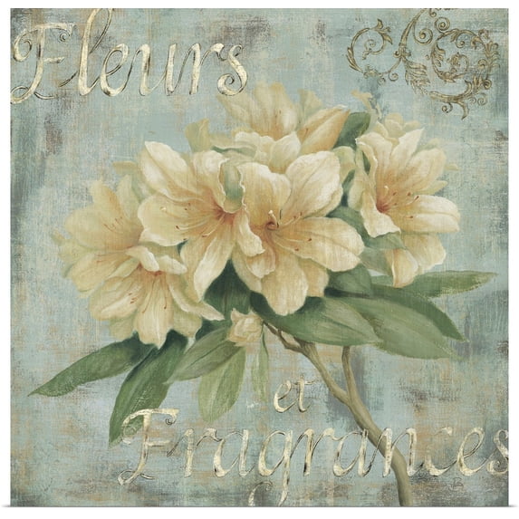 Great BIG Canvas | "Vintage Fragrance I" Art Print - 20x20