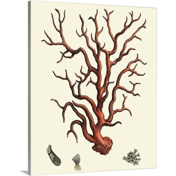 Great BIG Canvas | Vision Studio Premium Thick-Wrap Canvas entitled Red Coral I