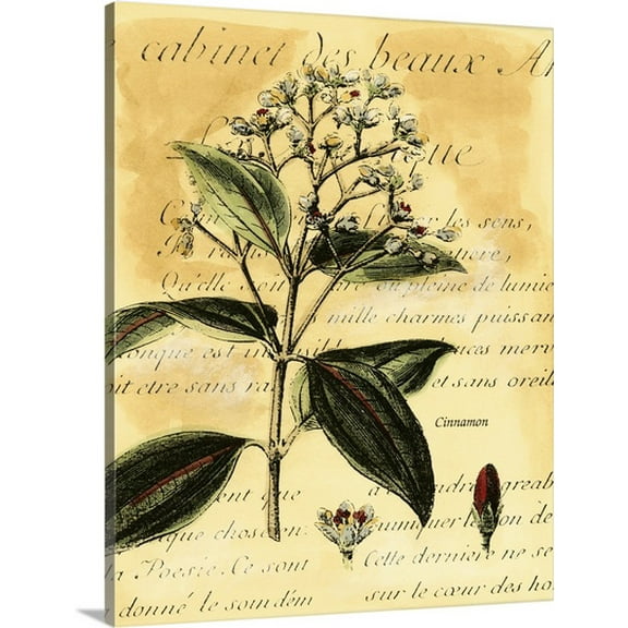 Great BIG Canvas Walter Fitch Premium Thick-Wrap Canvas entitled Cinnamon