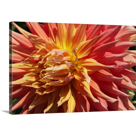 Great BIG Canvas | "Warm Sun I" Canvas Wall Art - 48x32