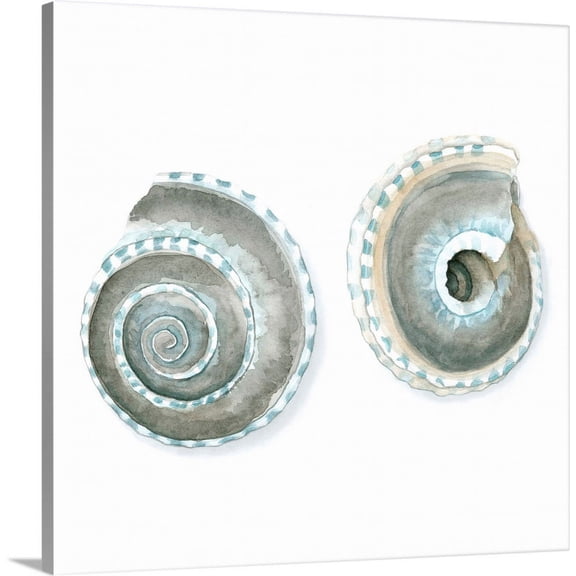 Great BIG Canvas | "Watercolor Shells IV" Canvas Wall Art - 20x20