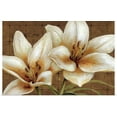 thumbnail image 1 of GBC | "White Gold" Art Print - 24x16, 1 of 4