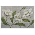 thumbnail image 1 of Great BIG Canvas | "White Magnolia" Art Print - 48x32, 1 of 4
