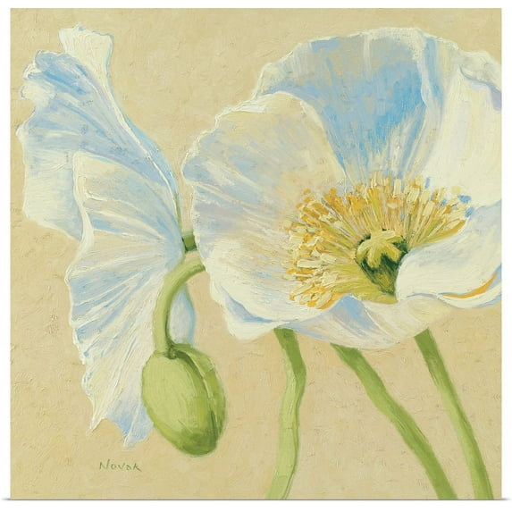 Great BIG Canvas | "White Poppies II" Art Print - 24x24