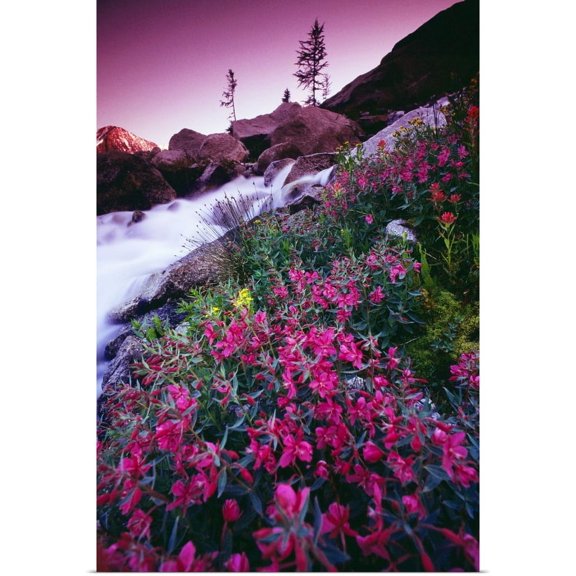 Great BIG Canvas | "Wildflowers, Bugaboo Provincial Park, British Columbia, Canada" Art Print - 16x24