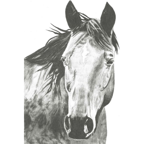 Great BIG Canvas | "Wildlife Snapshot: Horse I" Black Framed Print - 16x24