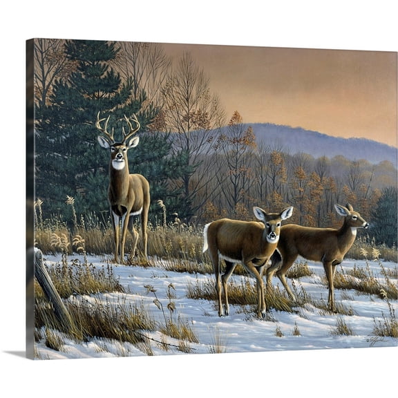 Great BIG Canvas | Wilhelm Goebel Premium Thick-Wrap Canvas entitled Prime Time - Whitetail Deer