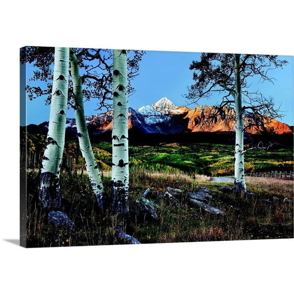 Great BIG Canvas | "Wilson Peak Aspens I" Canvas Wall Art - 24x16