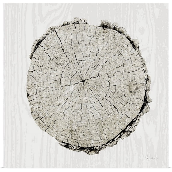 Great BIG Canvas | "Woodland Years II" Art Print - 30x30