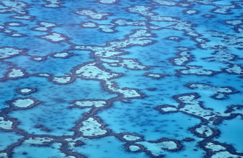 Great Barrier Reef Aerial View Canvas Art - Paul Miles Design Pics (17 x 11)