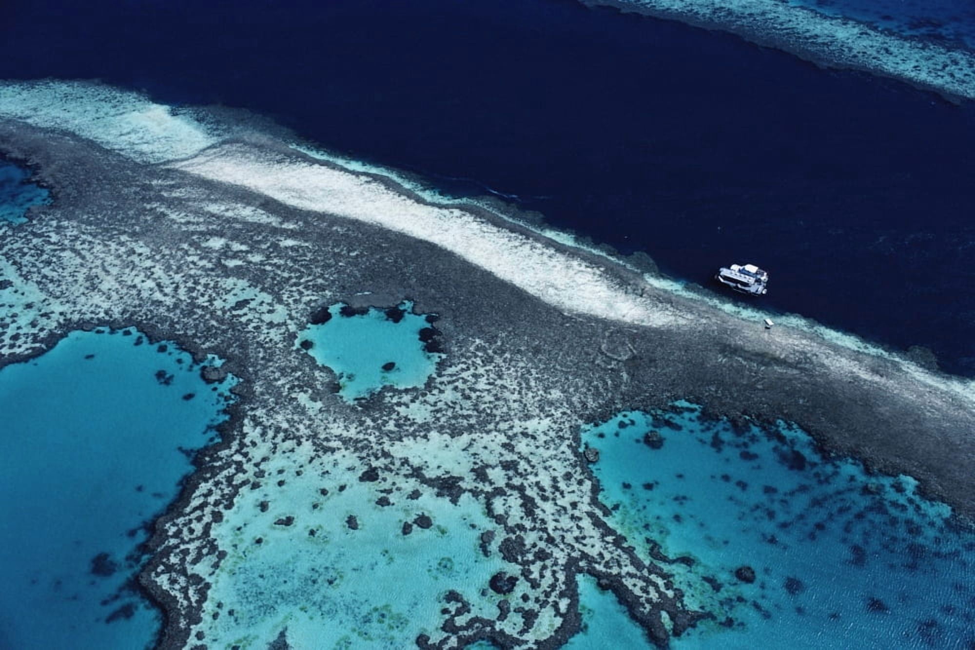 Great Barrier Reef High Angle View Canvas Art - Michael Coyne Design Pics (34 x 22)