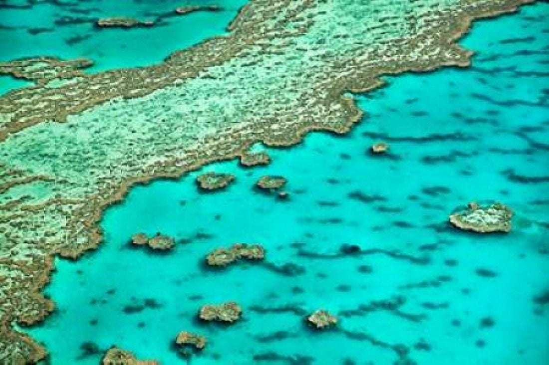 Great Barrier Reef I Canvas Art - Larry Malvin (12 x 18)