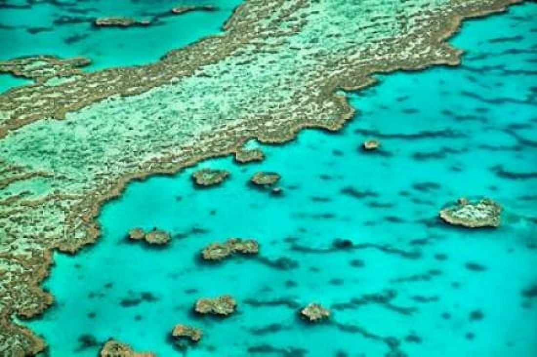 Great Barrier Reef I Canvas Art - Larry Malvin (24 x 36)