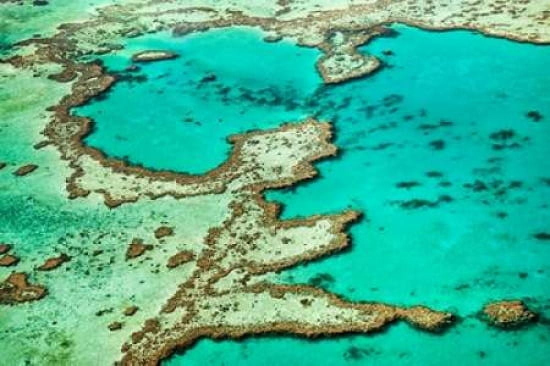 Great Barrier Reef III Canvas Art - Larry Malvin (12 x 18)