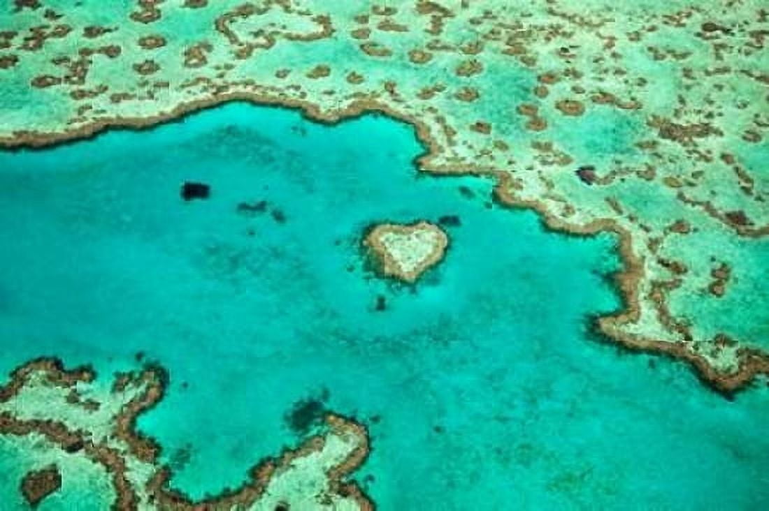 Great Barrier Reef IV Canvas Art - Larry Malvin (24 x 36)