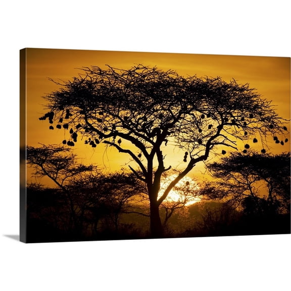 Great Big Canvas "African Sunset"  by Scott Stulberg Peach Brown   Wrapped Canvas Print Wall Artwork