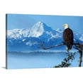 Great Big Canvas "Bald Eagle Perched On Spruce Branch Overlooking The