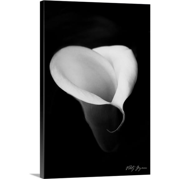 Great BIG Canvas Photography