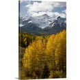 thumbnail image 1 of Great Big Canvas "Colorado, San Juan Mountains, Uncompahgre National Forest"  by Don Grall Olive Green Black   Wrapped Canvas Print Wall Artwork, 1 of 7