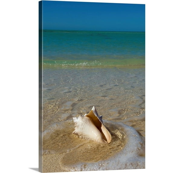 Great Big Canvas "Florida, Florida Keys, Conch shell on sandy beach, Key West" by Chris Parker Brown Gray Wrapped Canvas Print Wall Artwork