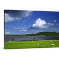 thumbnail image 1 of Great Big Canvas "Ireland, County Roscommon. Pastoral scene of lake and grazing sheep"  by Dennis Flaherty Muted Blue Pale Blue   Wrapped Canvas Print Wall Artwork, 1 of 7