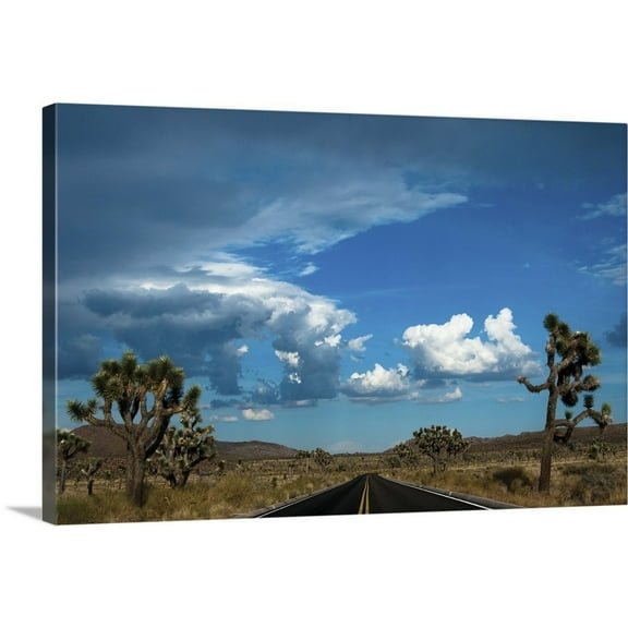 Great Big Canvas "Joshua Tree National Park III" by Erin Berzel Gray Blue White Wrapped Canvas Print Wall Artwork
