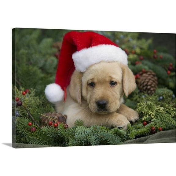 Great Big Canvas "Labrador Retriever Puppy With Santa Hat In A Christmas Wreath; Maui, Hawaii" by Ron Dahlquist Dark Gray Light Gray Wrapped Canvas Print Wall Artwork