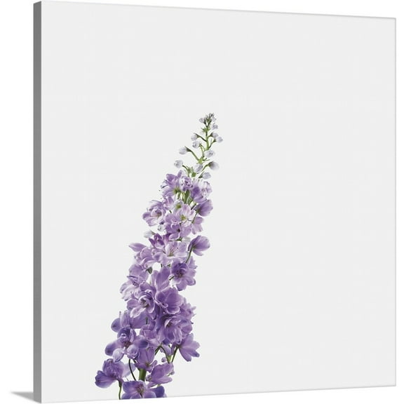 Great Big Canvas "Lavender Flower"  by Bruno Crescia Muted Blue Dark Forest Green   Wrapped Canvas Print Wall Artwork