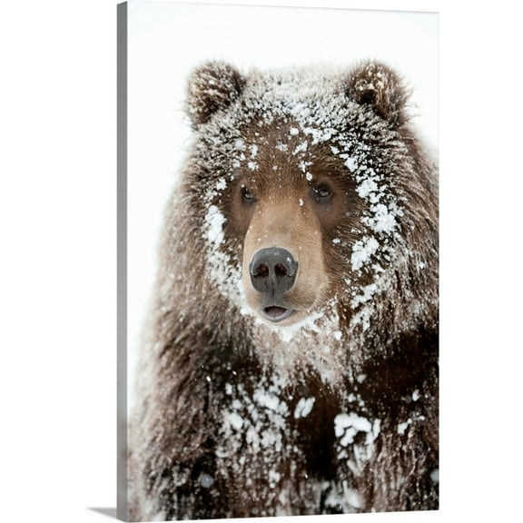 Great BIG Canvas Photography