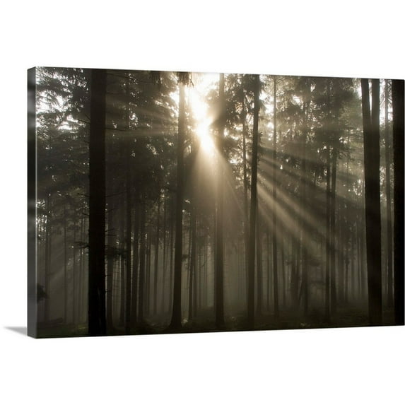 Great BIG Canvas Photography