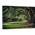 Great Big Canvas "Oak tree lined road at Boone Hall Plantation