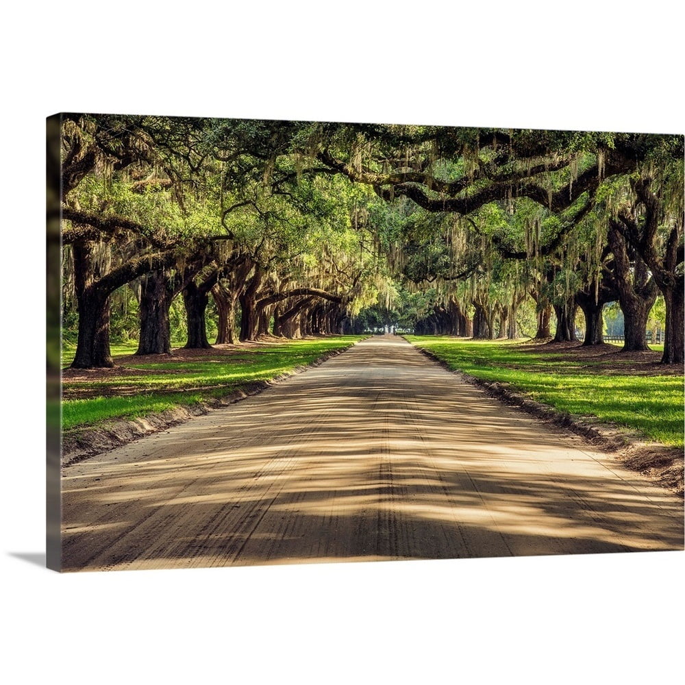 Great Big Canvas "Oak tree lined road at Boone Hall Plantation