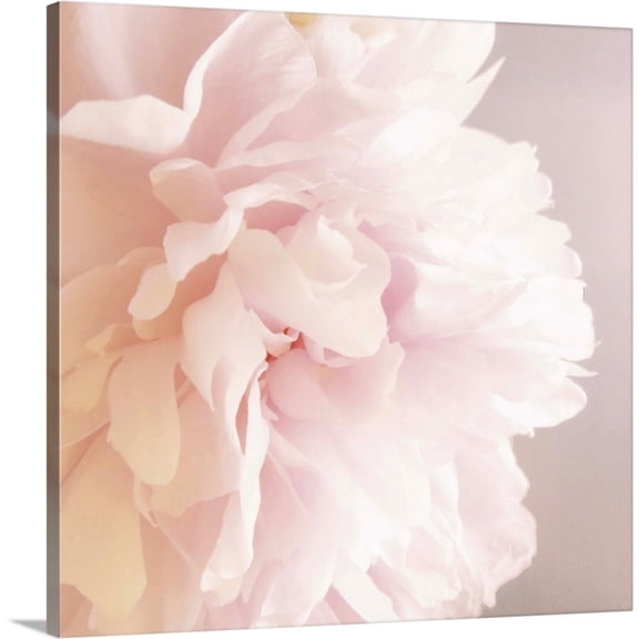 Great BIG Canvas Photography