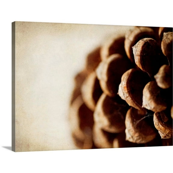 Great Big Canvas "Pine Cone" by Jessica Rogers Brown Silver Wrapped Canvas Print Wall Artwork