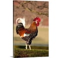 thumbnail image 1 of Great BIG Canvas Animals People Photography, 1 of 7